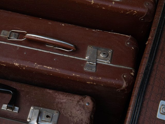 Protéger les espèces menacées : guide pratique