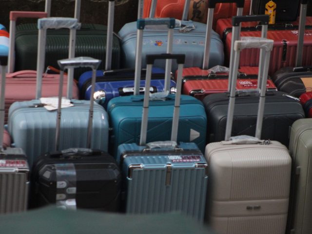 Espèces en danger à découvrir lors de vos voyages