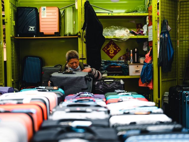 Sanctuaires d’animaux en France : un refuge essentiel