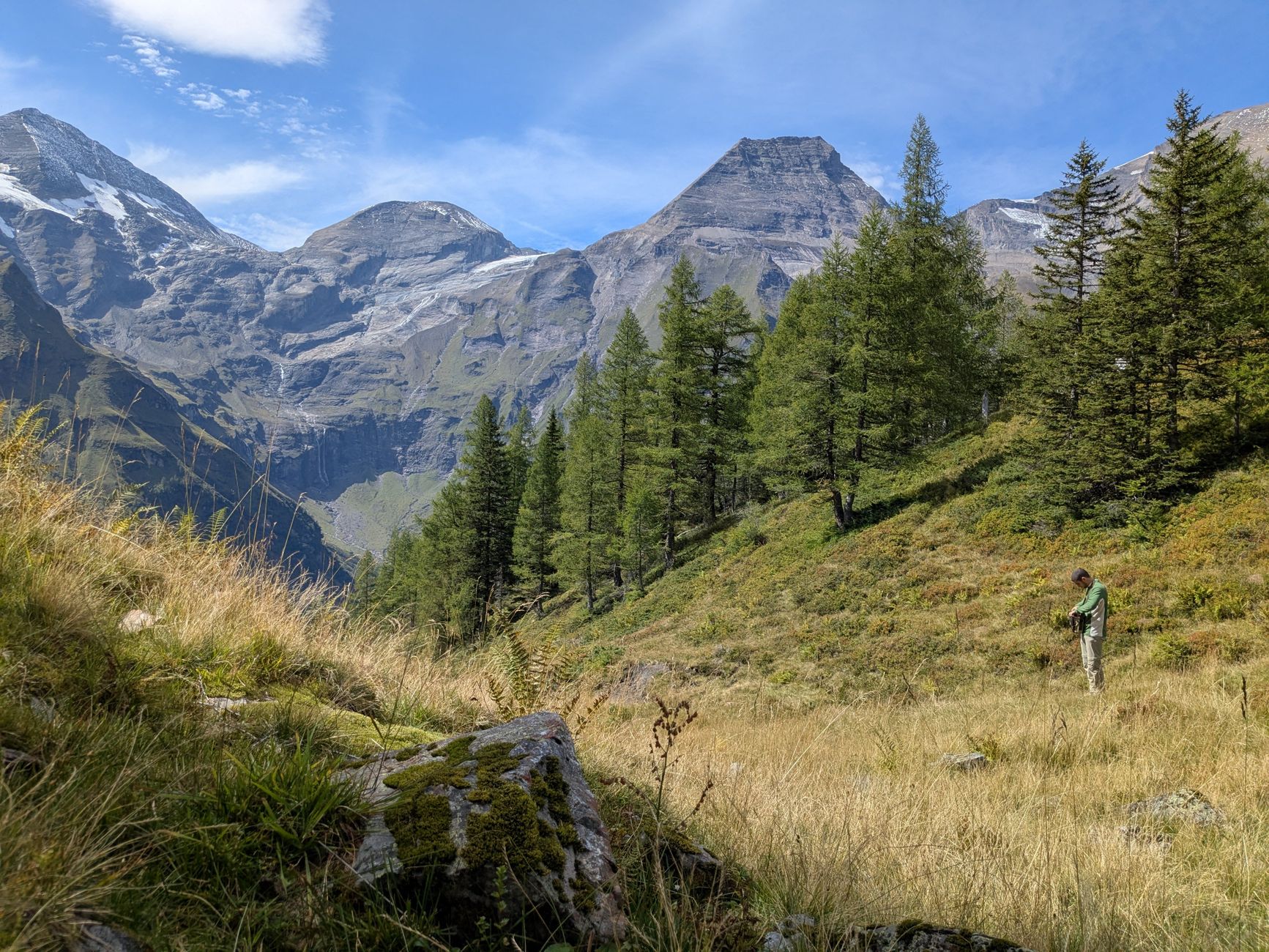 L'impact du tourisme sur la biodiversité : un enjeu urgent