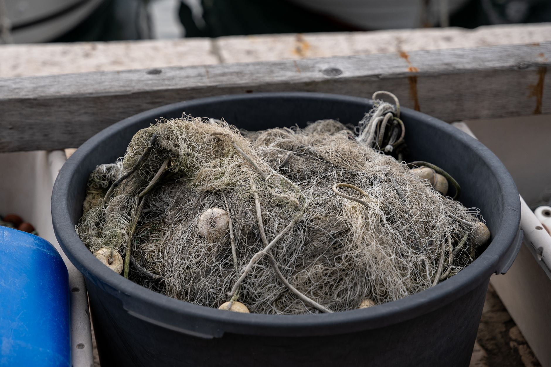Les effets dévastateurs du plastique sur la biodiversité marine