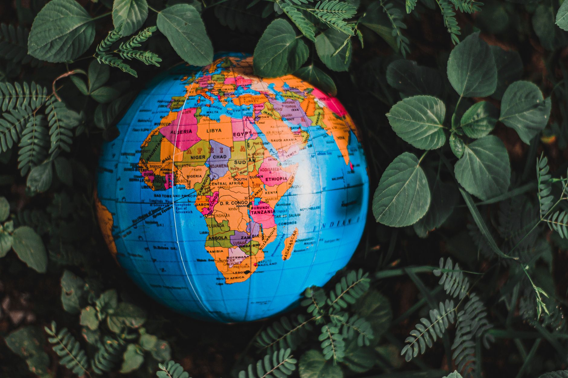 Préserver la biodiversité en voyage : enjeux et solutions