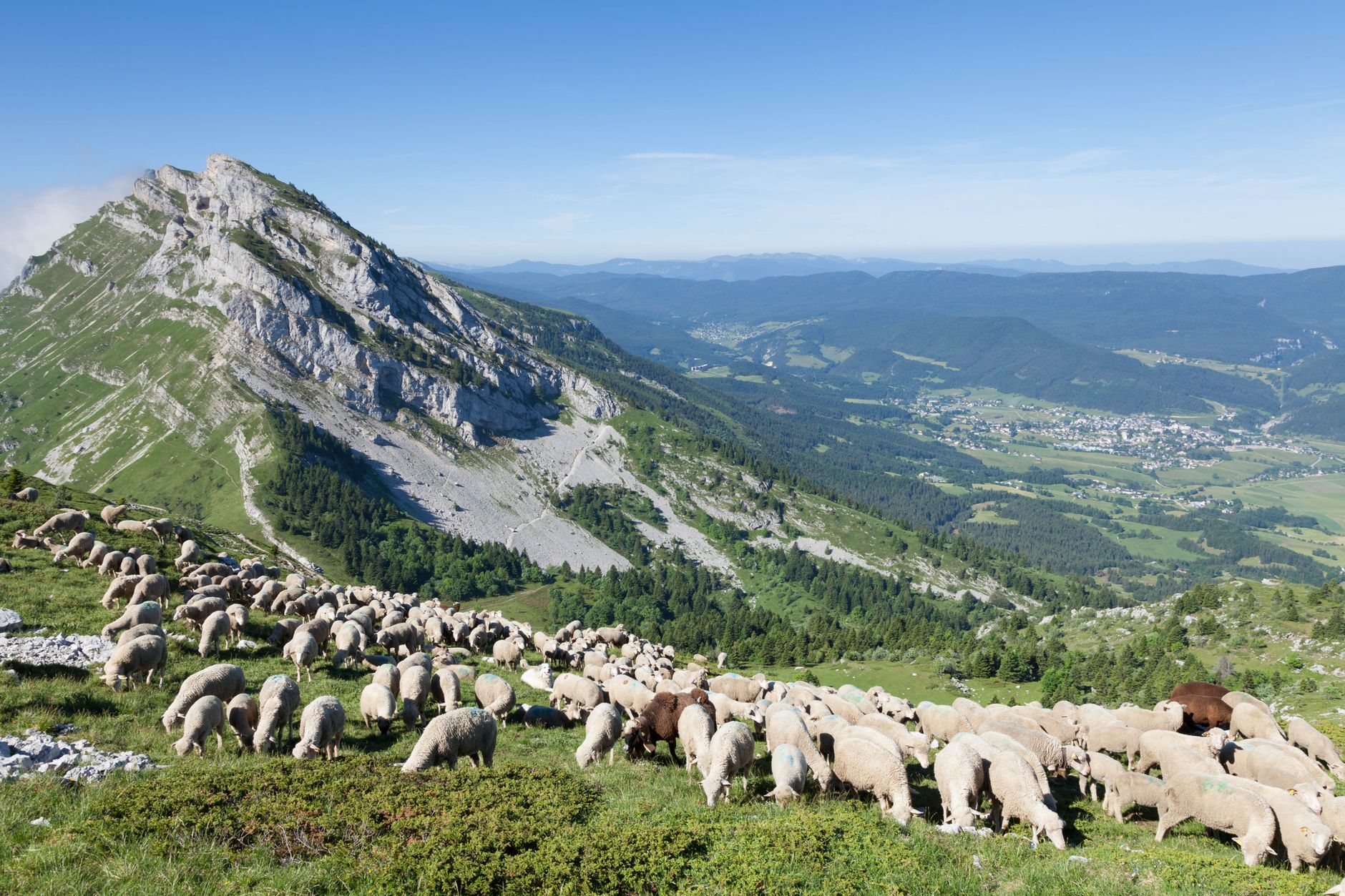 Les conséquences du tourisme de masse sur la biodiversité