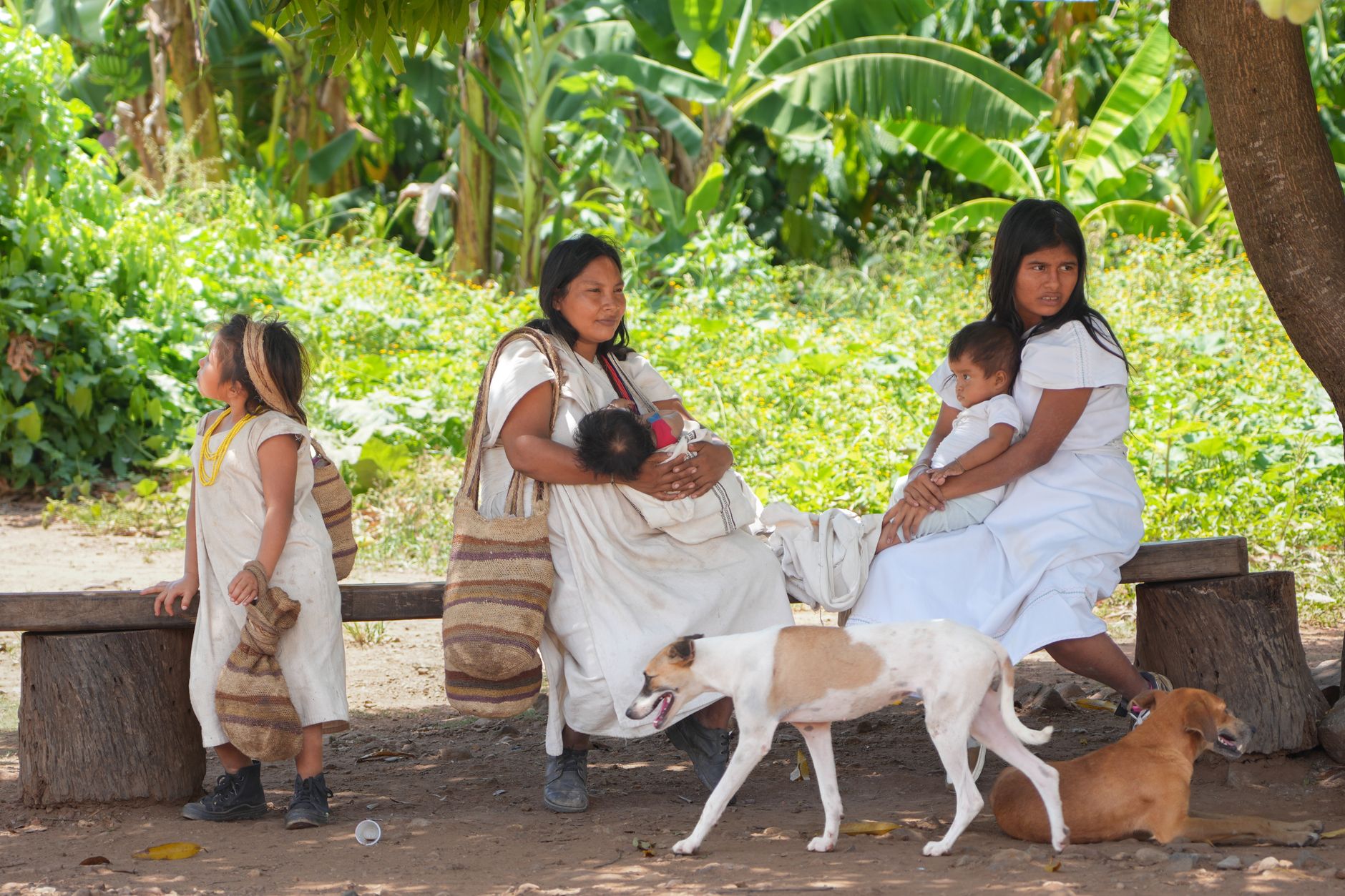 Communautés amazoniennes et sauvetage de la faune